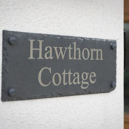 Hawthorn Cottage Тенби Экстерьер фото