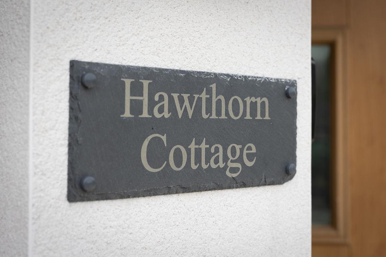 Hawthorn Cottage Тенби Экстерьер фото